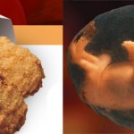 chicken-nugget-fetus-wendy