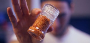 grinding-chips-seasoning-9-year-old