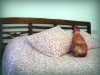 hampillowbed