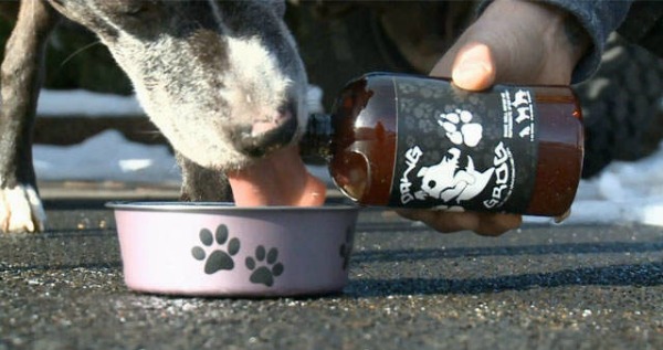 beer-for-dogs-dawg-grog