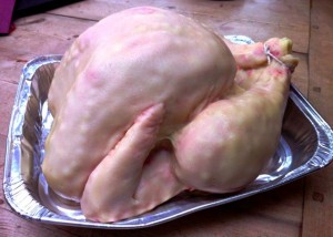 creepyturkey