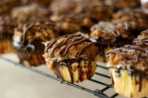 samoa-cupcakes