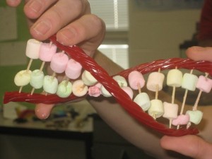 DNA