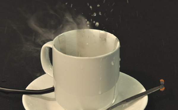 teacup